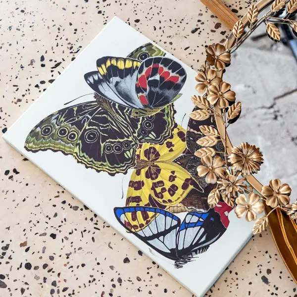 Картина «Бабочки мира», версия 7 (холст, галерейная натяжка)